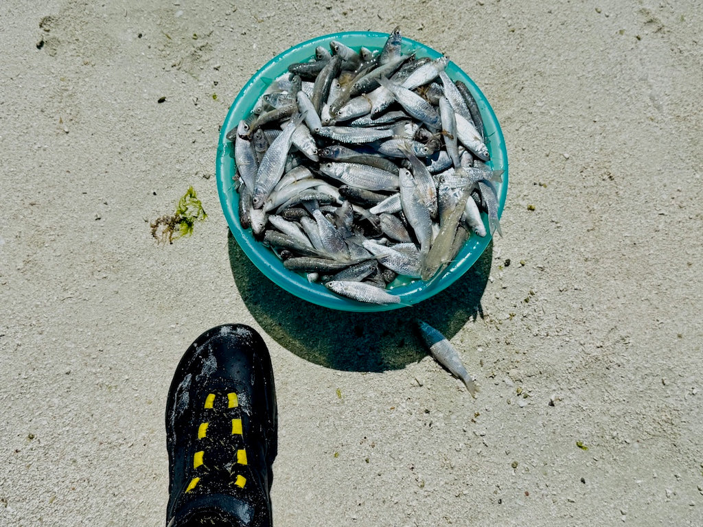 JIMMY WAS A ROCKSTAR