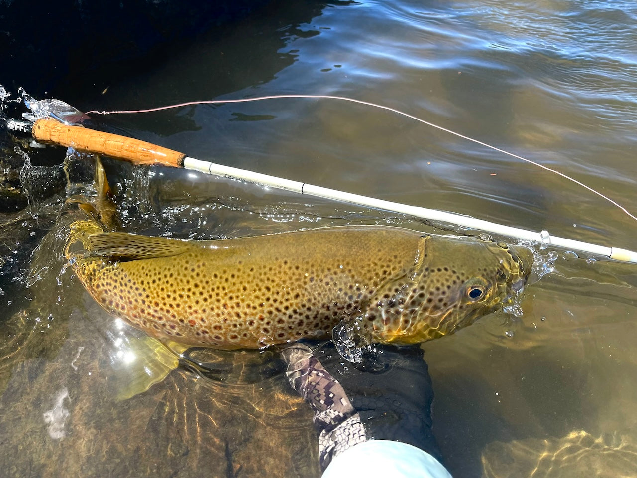 Loaded 10-Dry Fly & Nymph Mix-Double-Silicone Fly Box