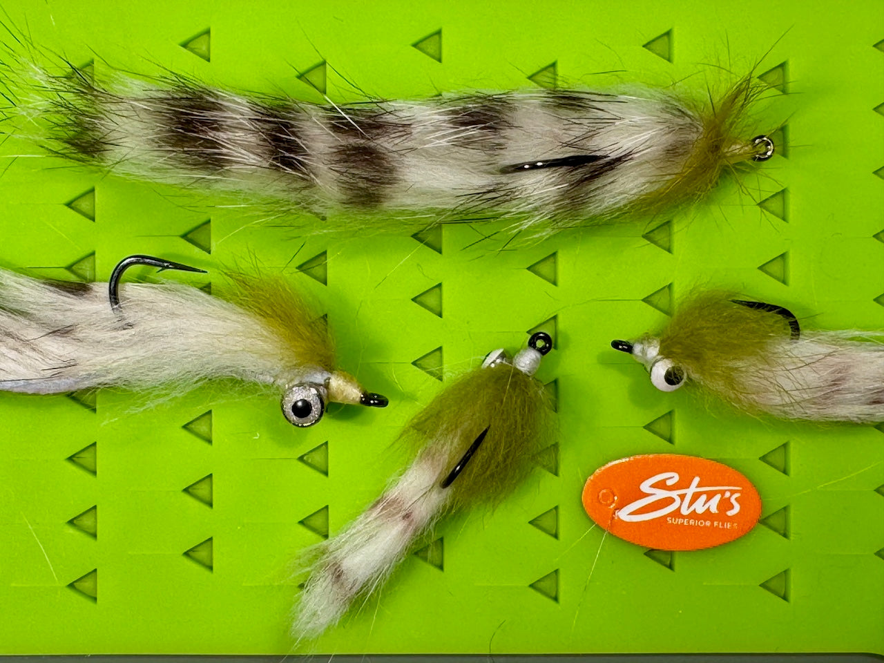 Barred Sand Shrimp - Large