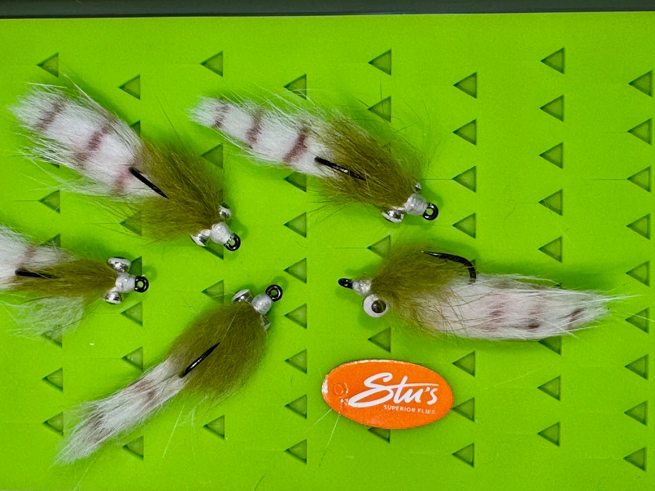 Barred Sand Shrimp - Large