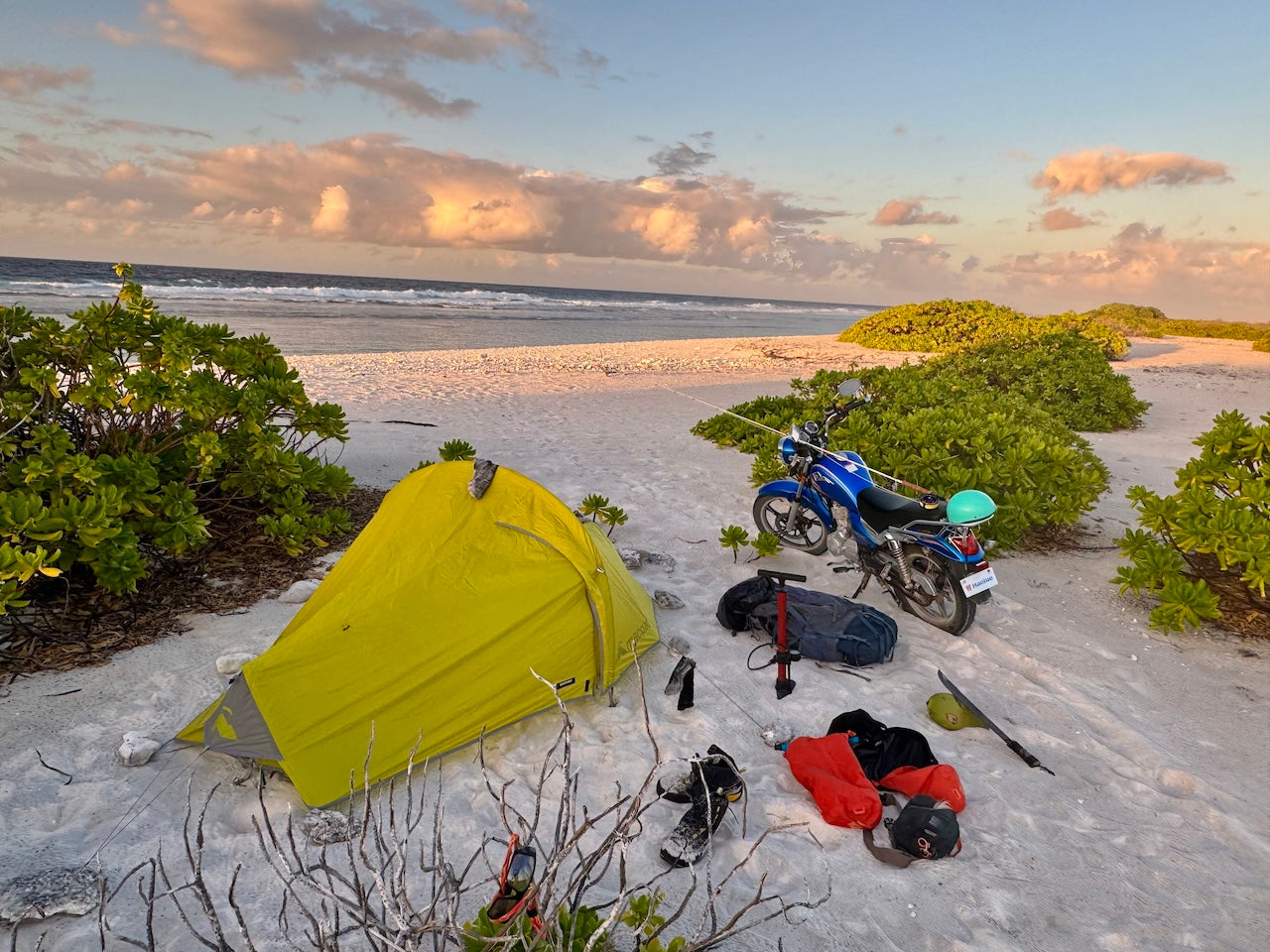 JIMMY WAS A ROCKSTAR