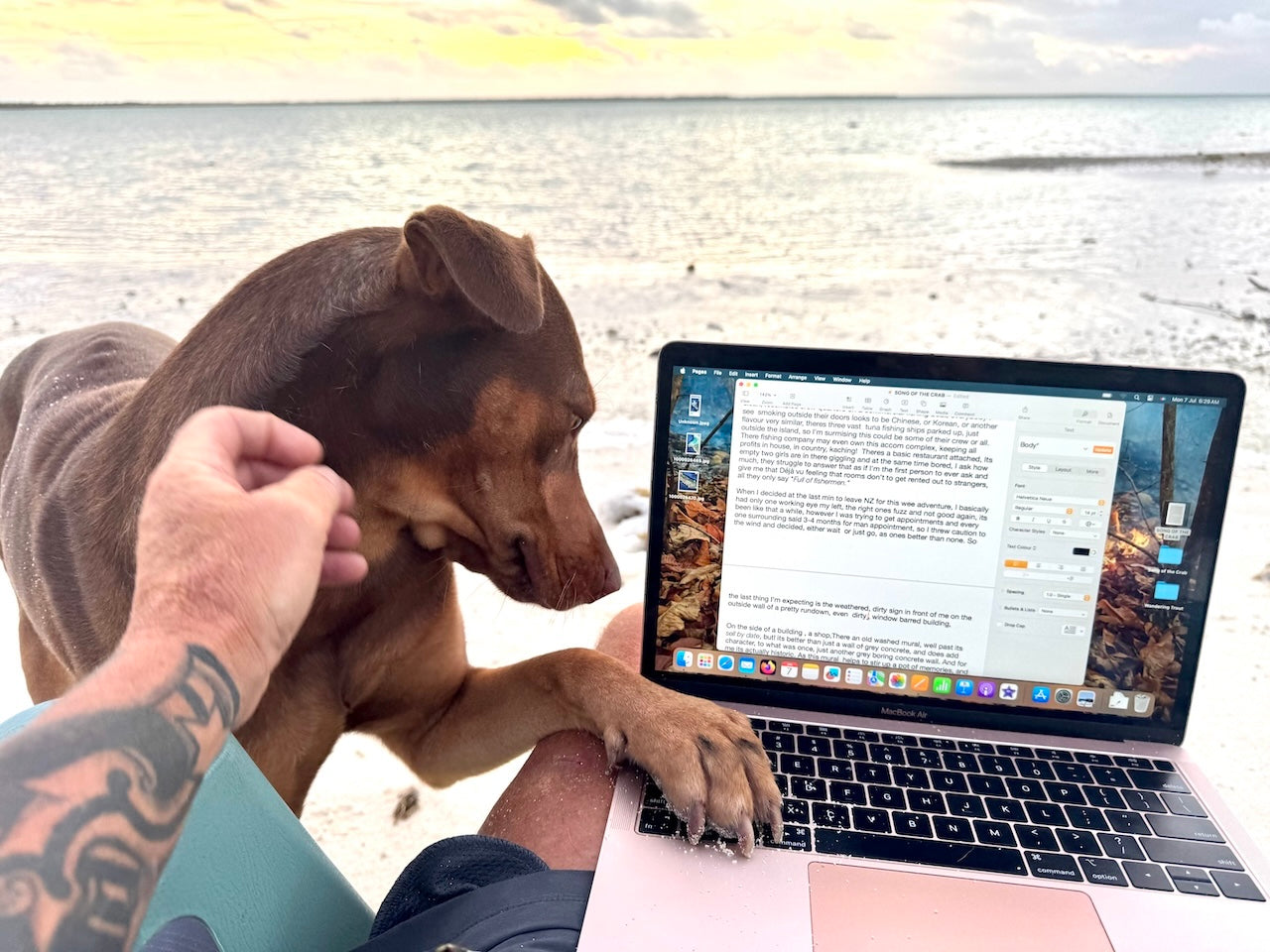 JIMMY WAS A ROCKSTAR