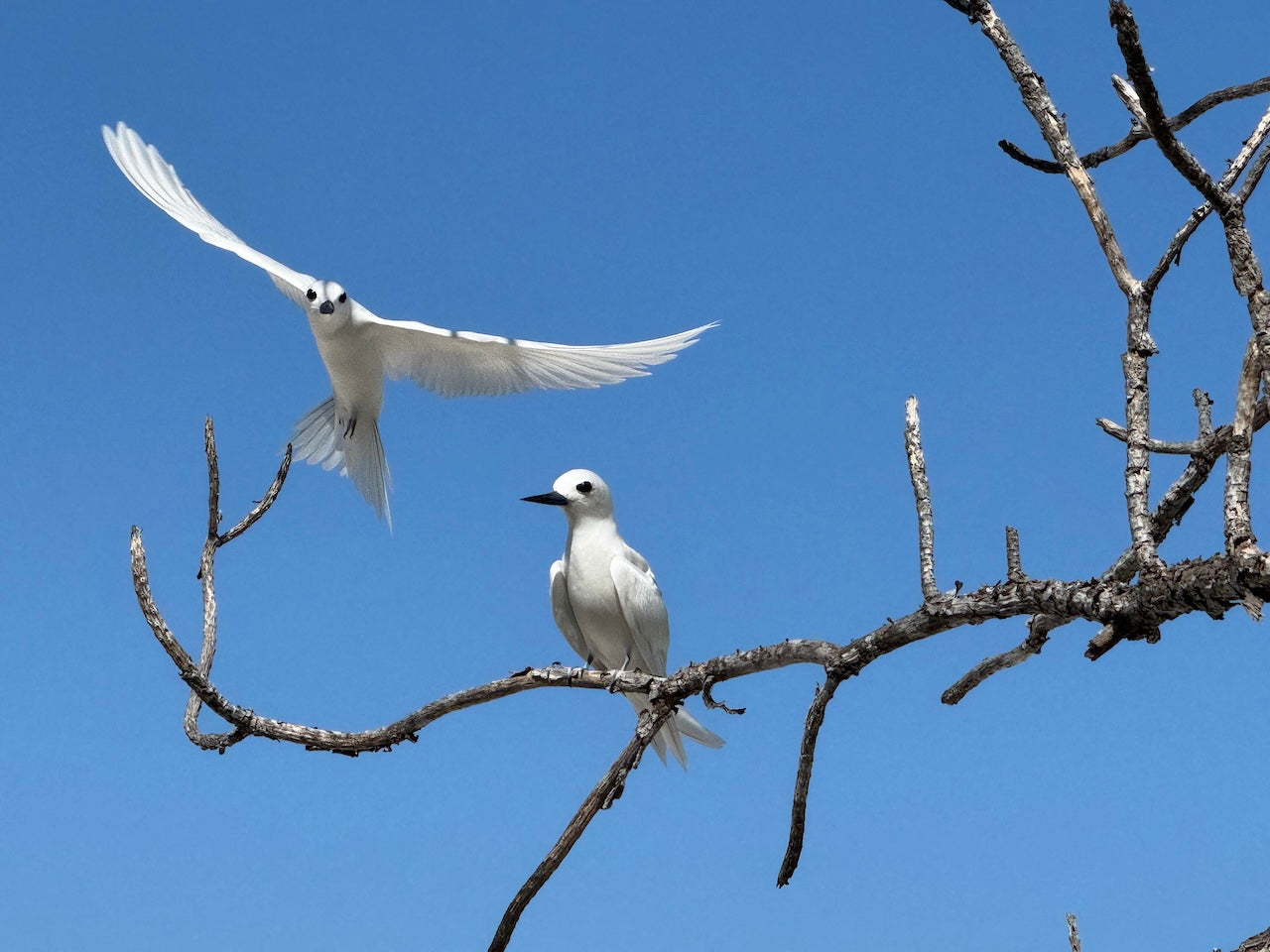 JIMMY WAS A ROCKSTAR