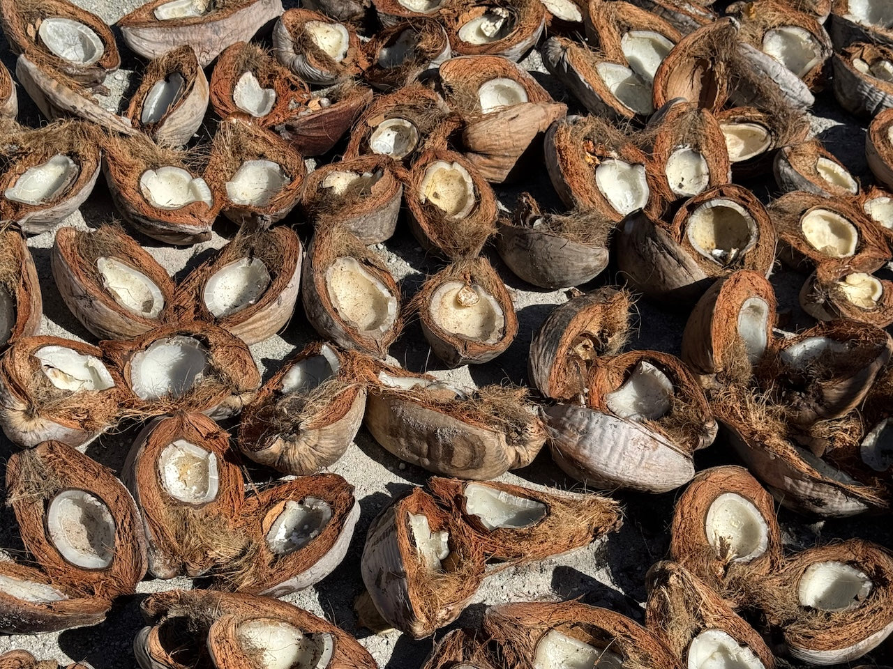 JIMMY WAS A ROCKSTAR