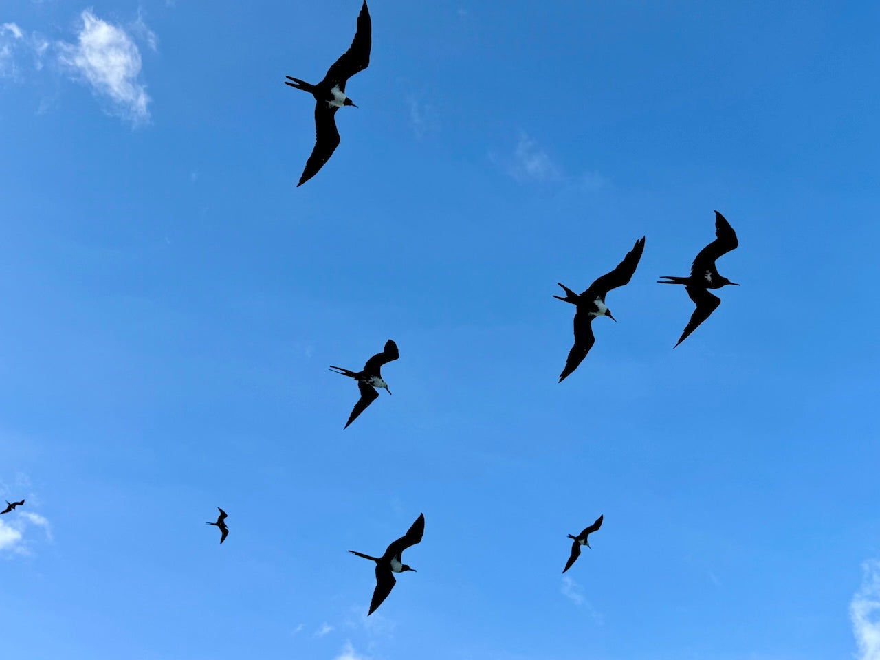 JIMMY WAS A ROCKSTAR