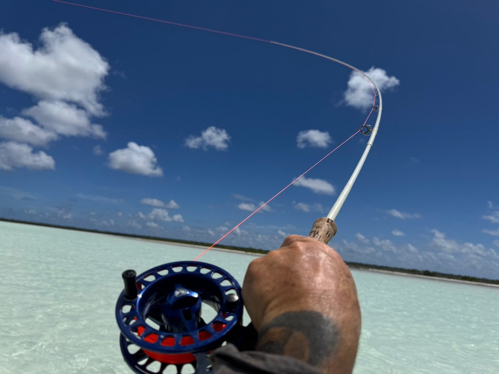 Rascal-Big-Crease/Popper Fly