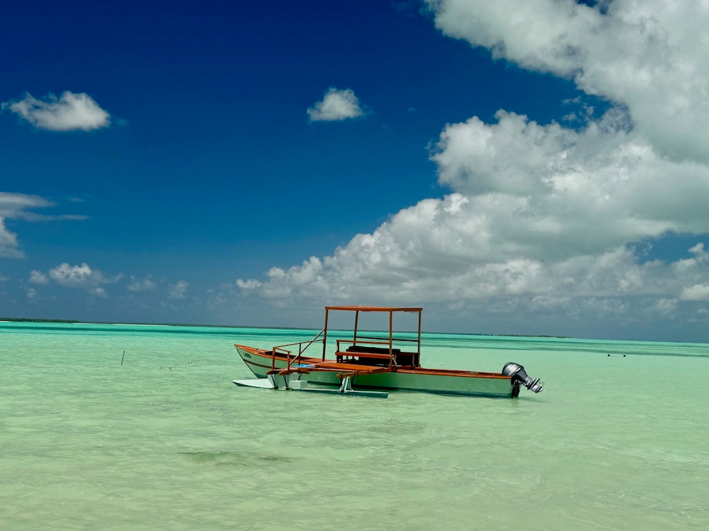 JIMMY WAS A ROCKSTAR