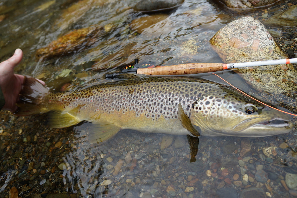 Da Bomb-Mayfly Nymph-Grey