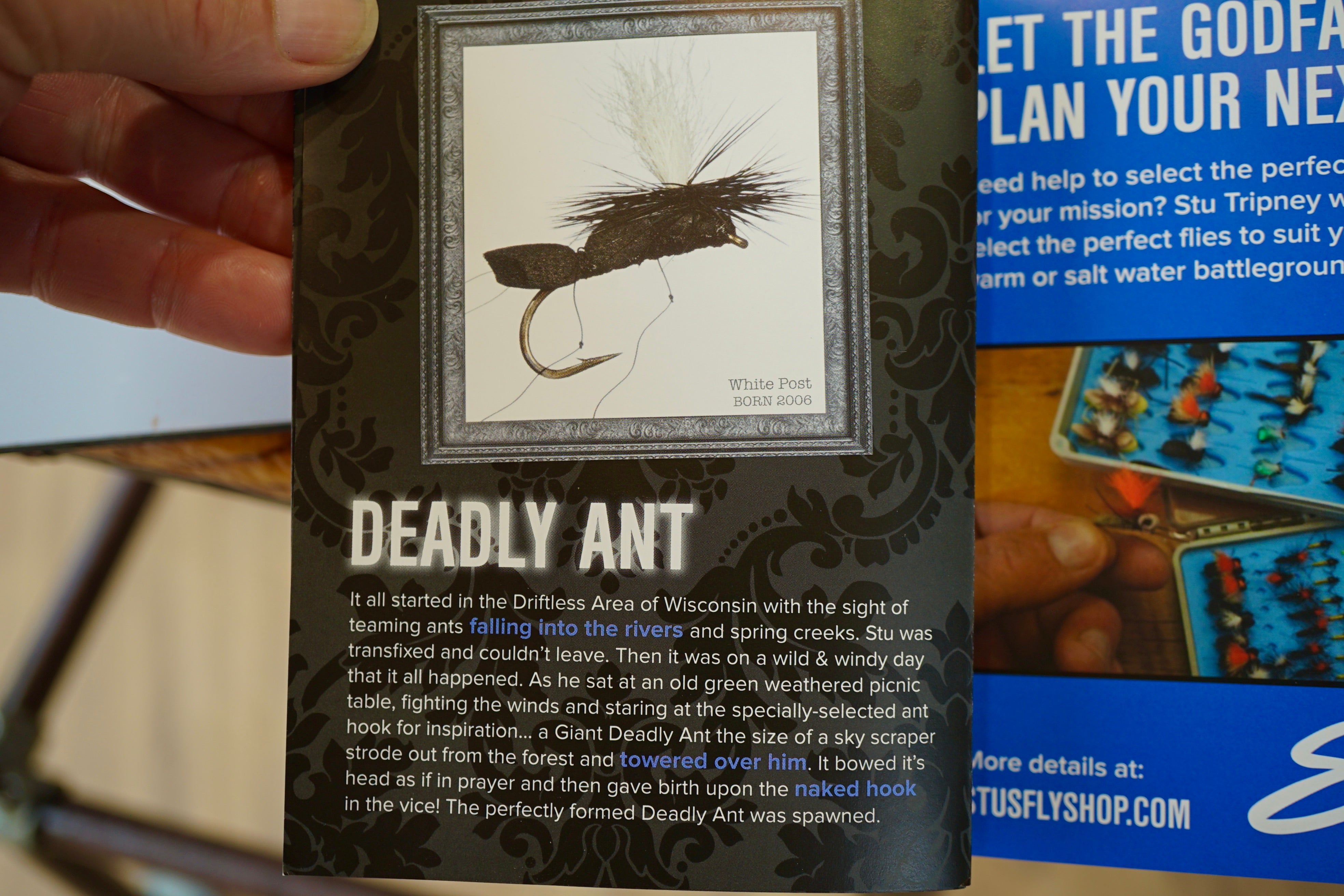 Deadly Ant-Patch