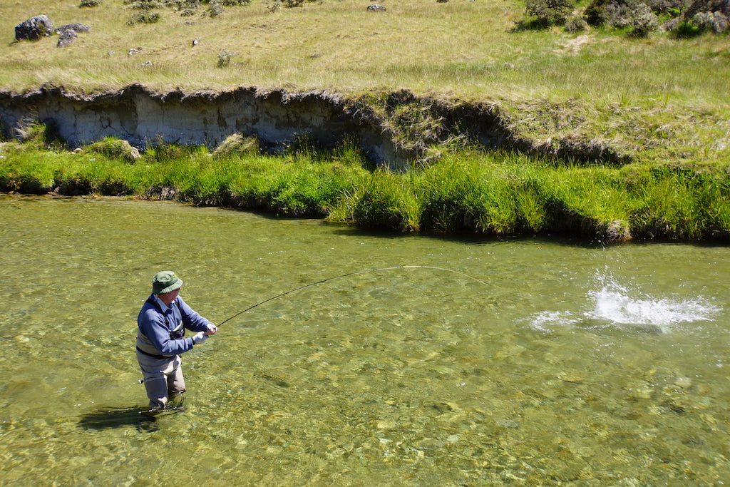 Bush Cicada XL Mix Pack's