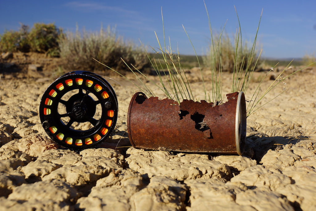 Bush Cicada XL Mix Pack's