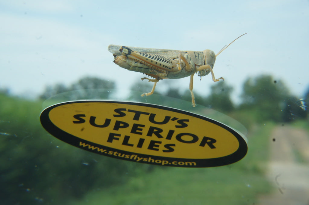 Deadly Hopper/Cricket