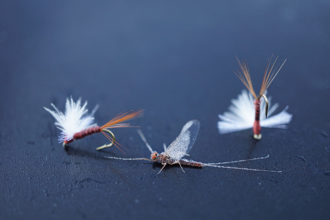 Loaded 6-Mayfly-Dry Fly Mix-Slim Fly Boxes.