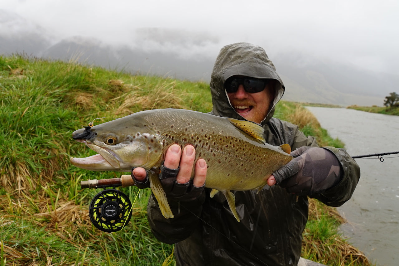 Deadly Minnow-Barred-Fluro