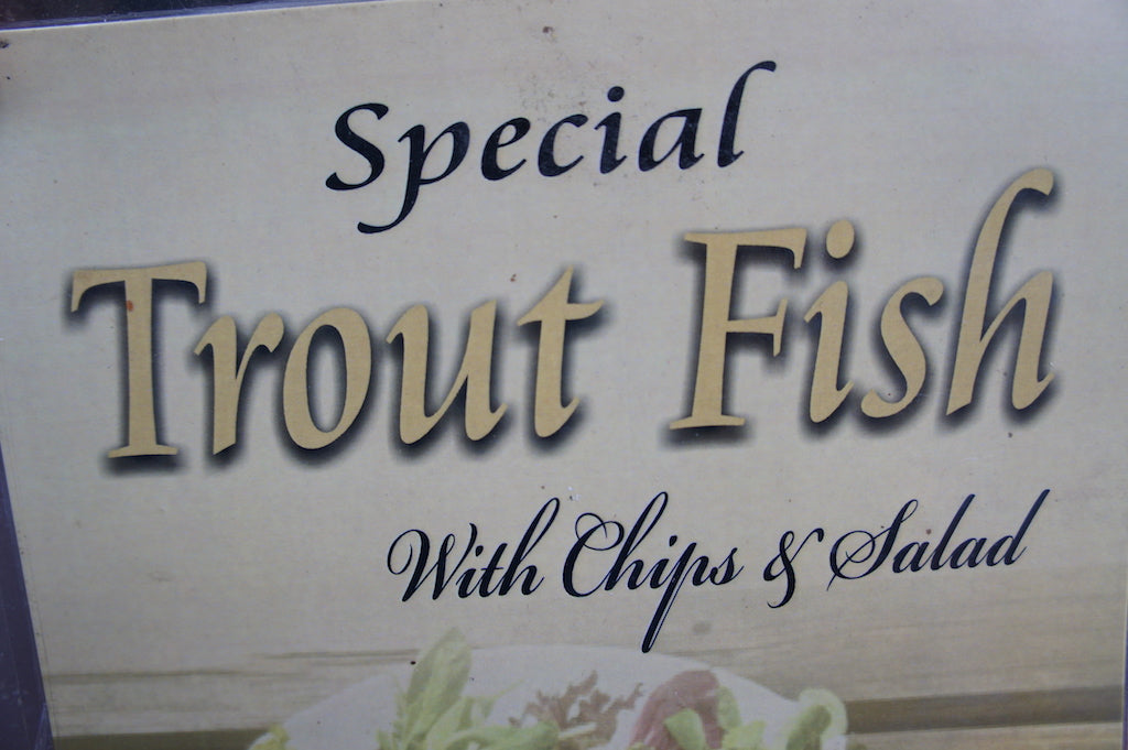 Floating Dragonfly Nymph