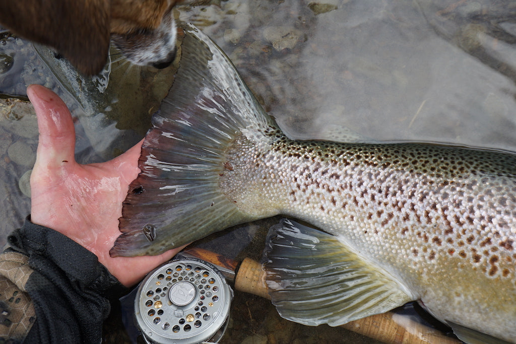 The Devastator-Baitfish Fly