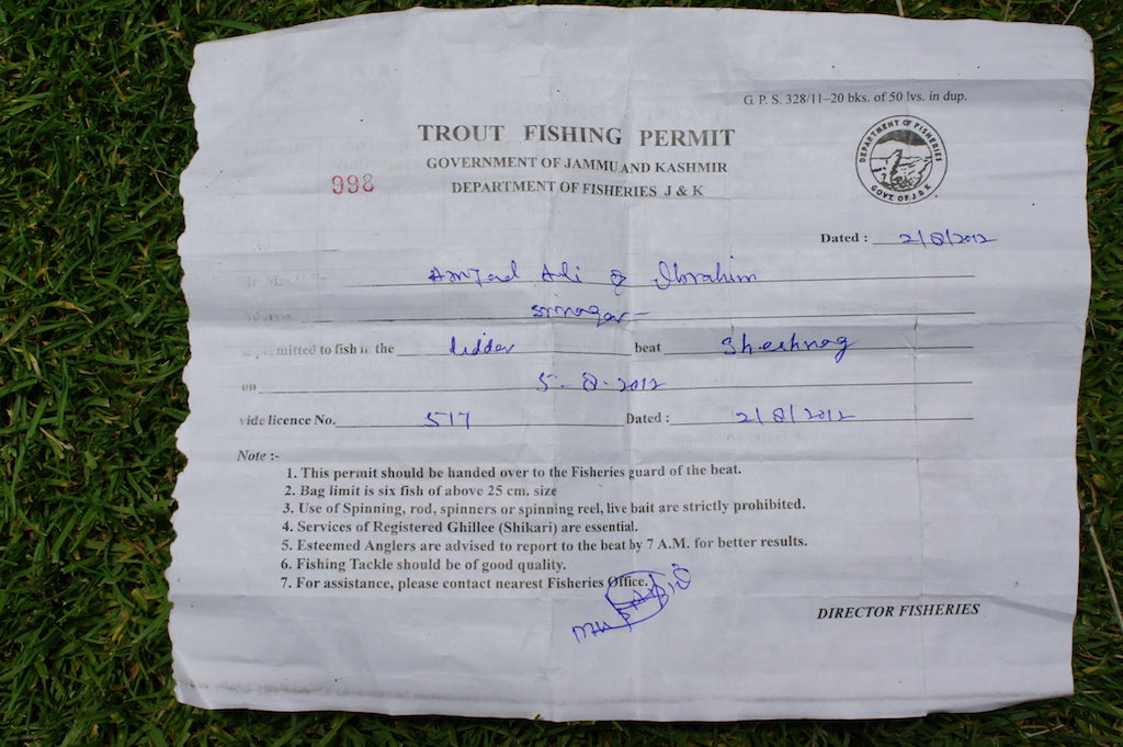 Floating Dragonfly Nymph