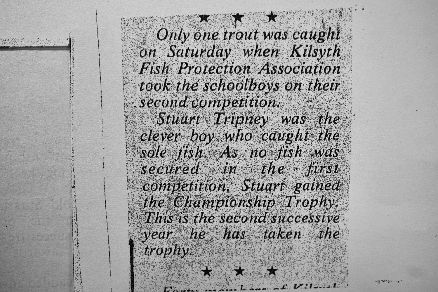 Floating Willow Grub Fly-Famous Original Banana Fly