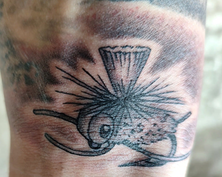 Bush Cicada XL Mix Pack's