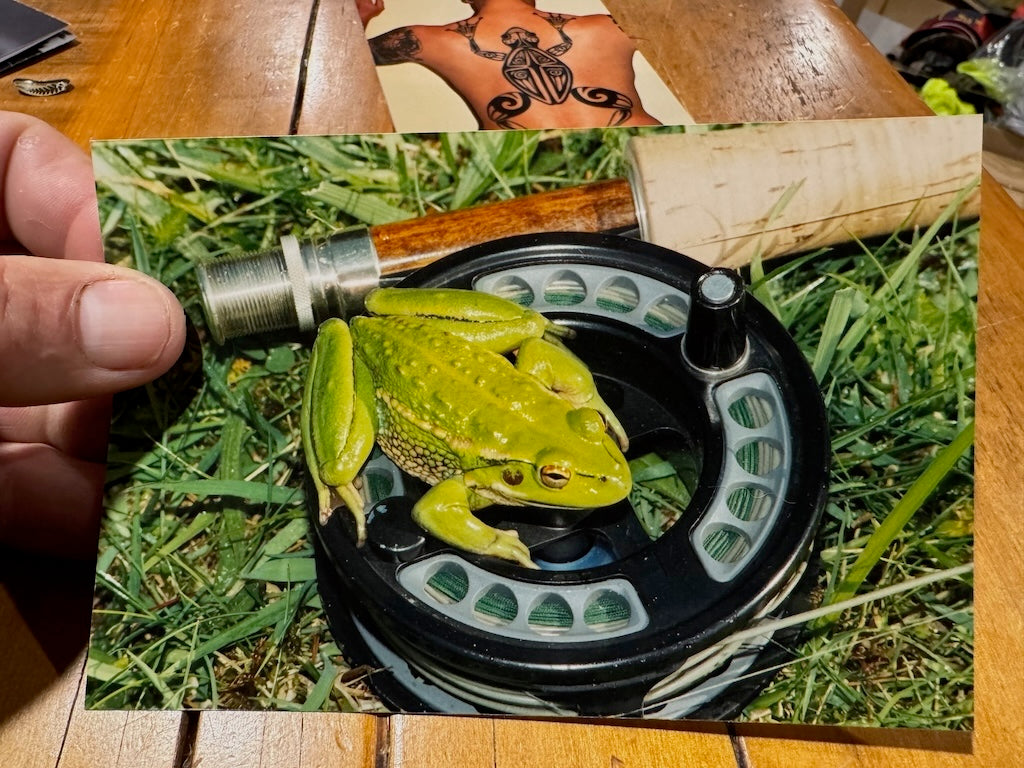 Stu's Swamp Frog
