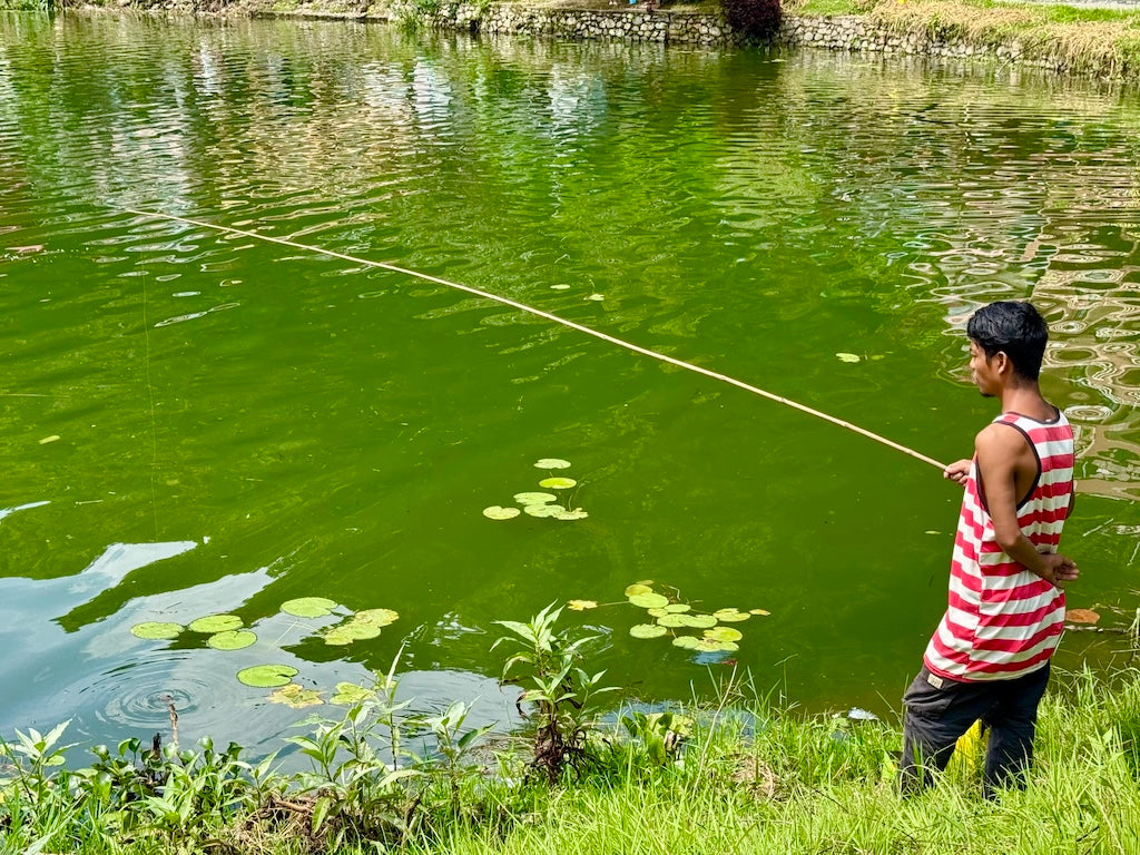 MOD FLY RODS