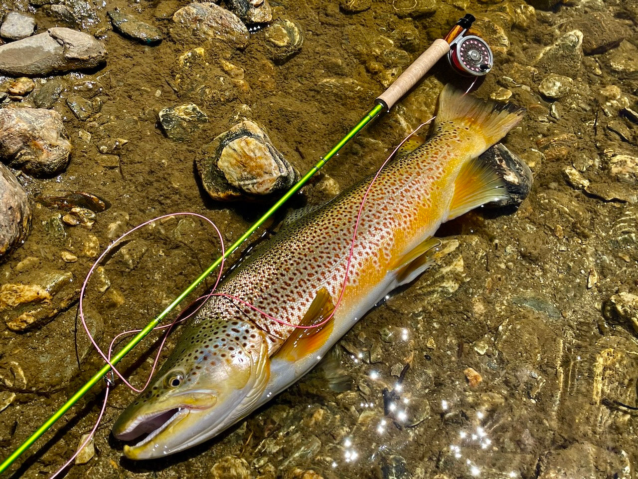 Custom Fly Pack's - Freshwater or Saltwater