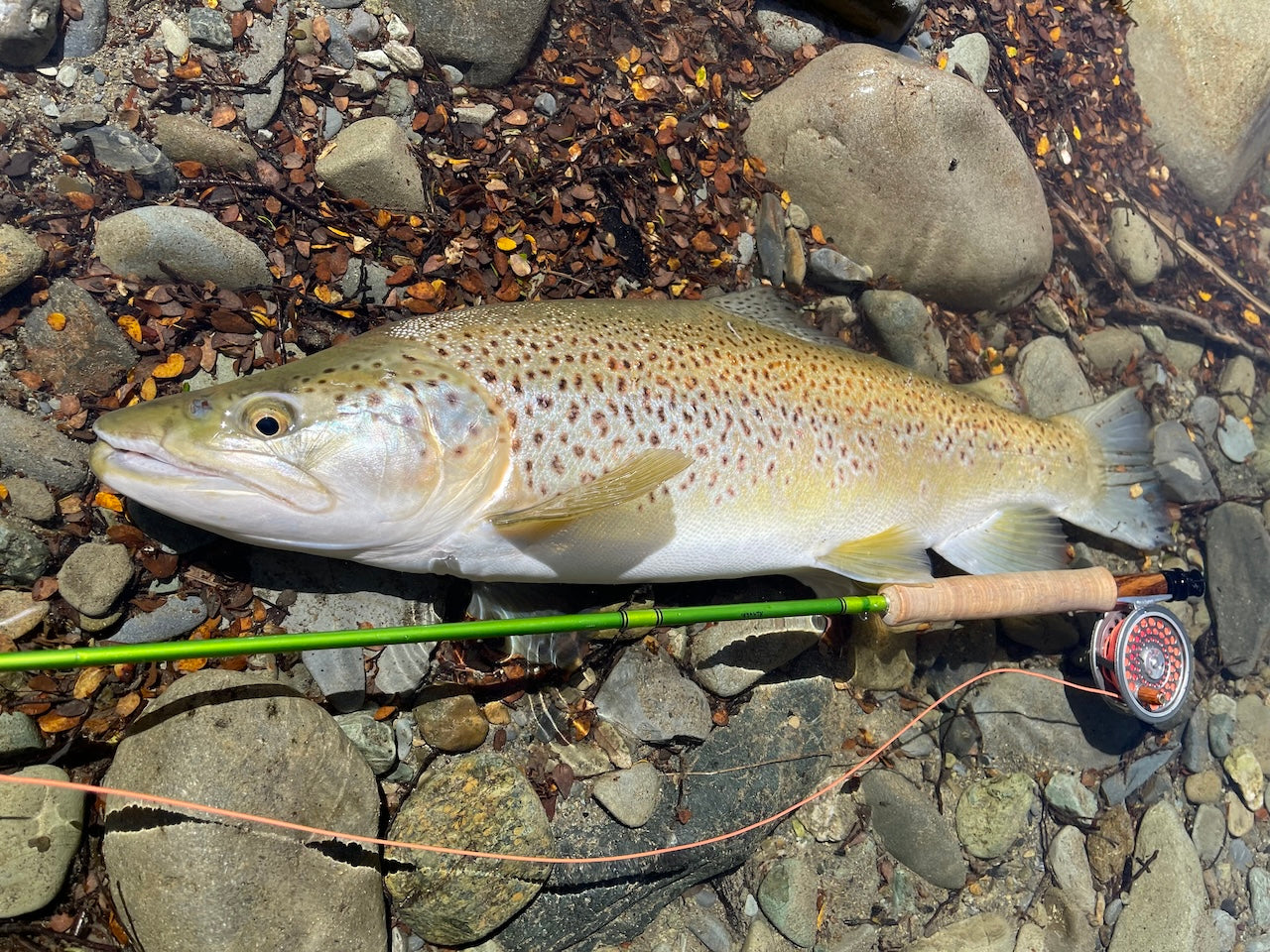 Custom Fly Pack's - Freshwater or Saltwater