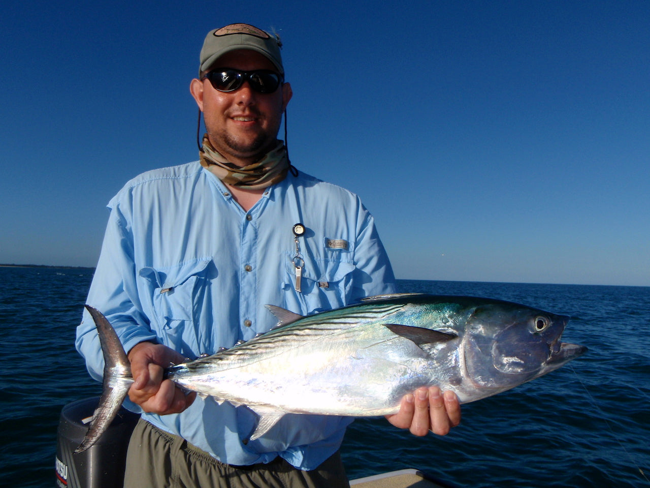 Sexy Minnow-The Ultimate Baitfish/Smelt