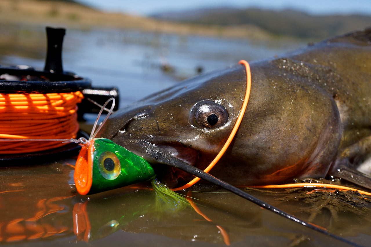 Wee Rascal-Crease Fly/Popper