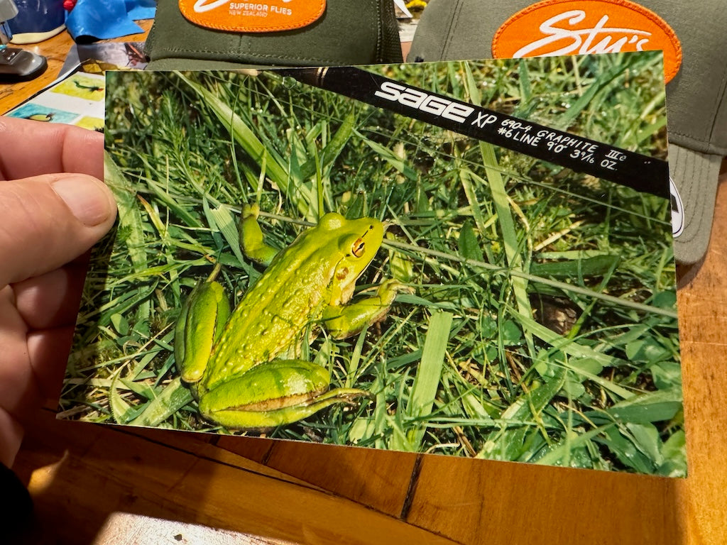 Stu's Swamp Frog
