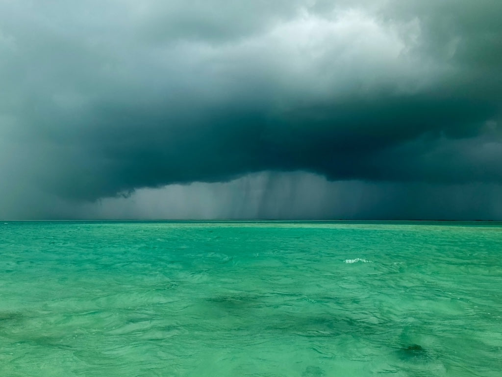 JIMMY WAS A ROCKSTAR