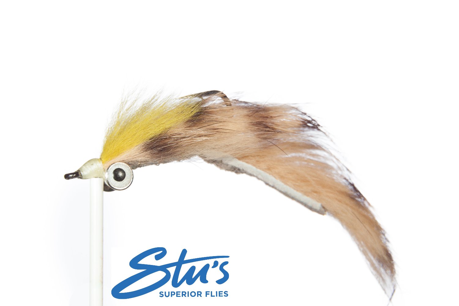Barred Sand Shrimp - Large