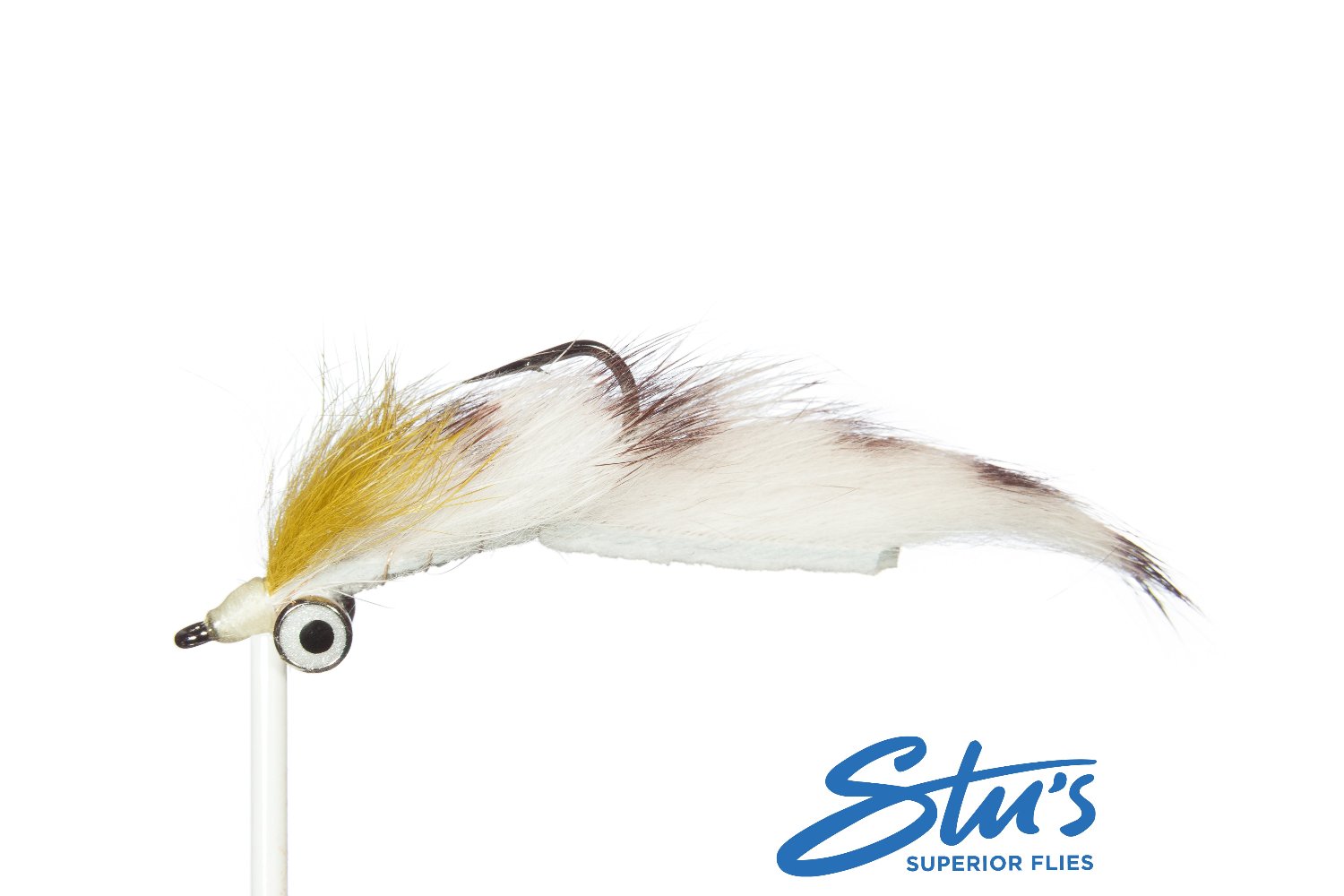 Barred Sand Shrimp - Large