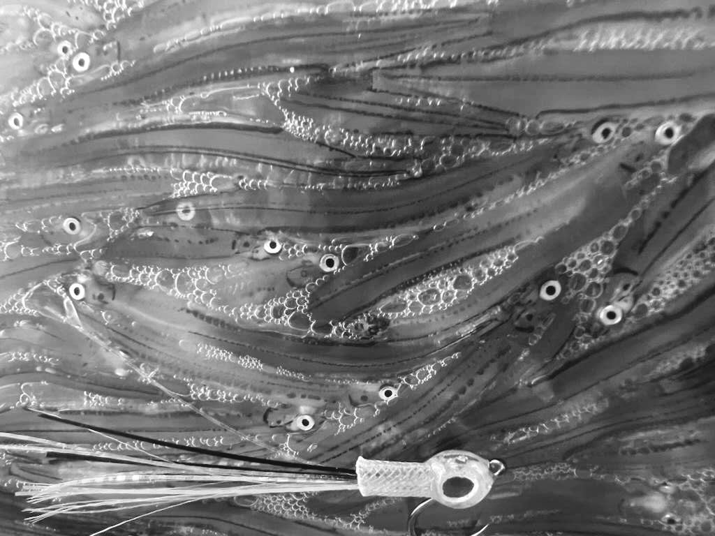 Sexy Minnow-The Ultimate Baitfish/Smelt