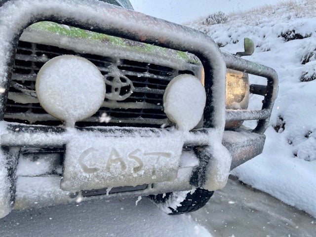 Deadly Skinny Damsel