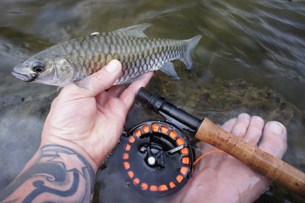 Da Bomb UV Mayfly Nymph-Purple Black Bead