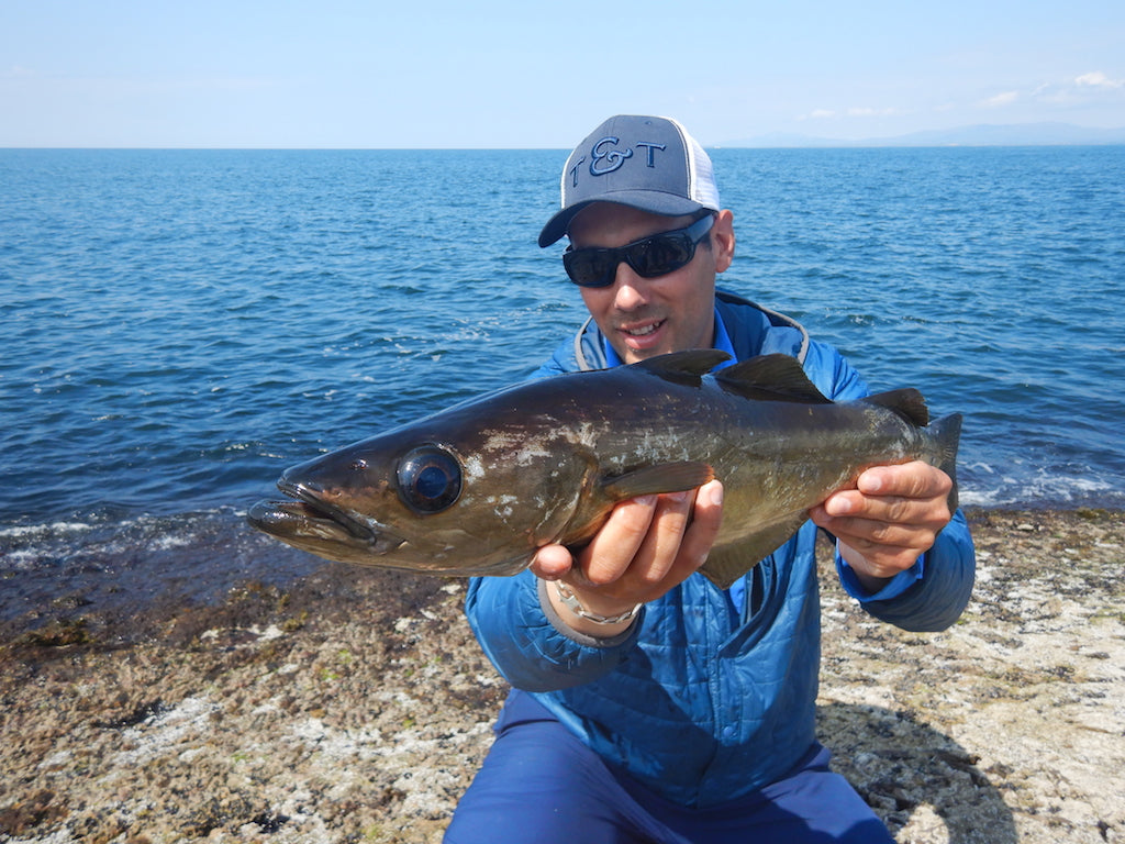 Sonic Minnow-Baitfish Mix Packs