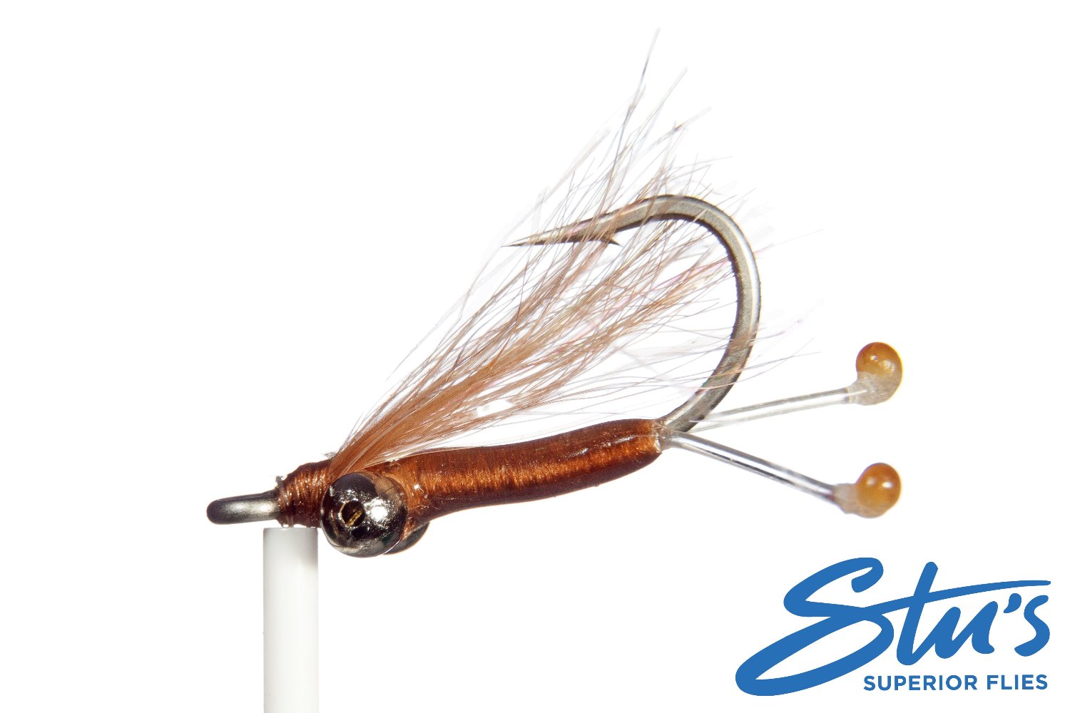 Torpedo Shrimp