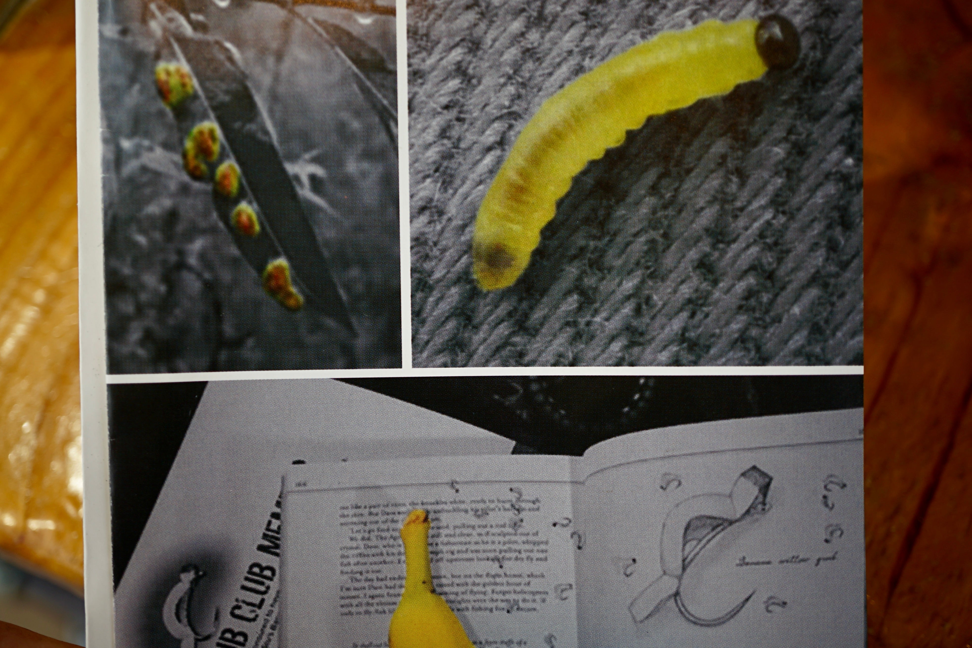 Floating Willow Grub Fly-Famous Original Banana Fly