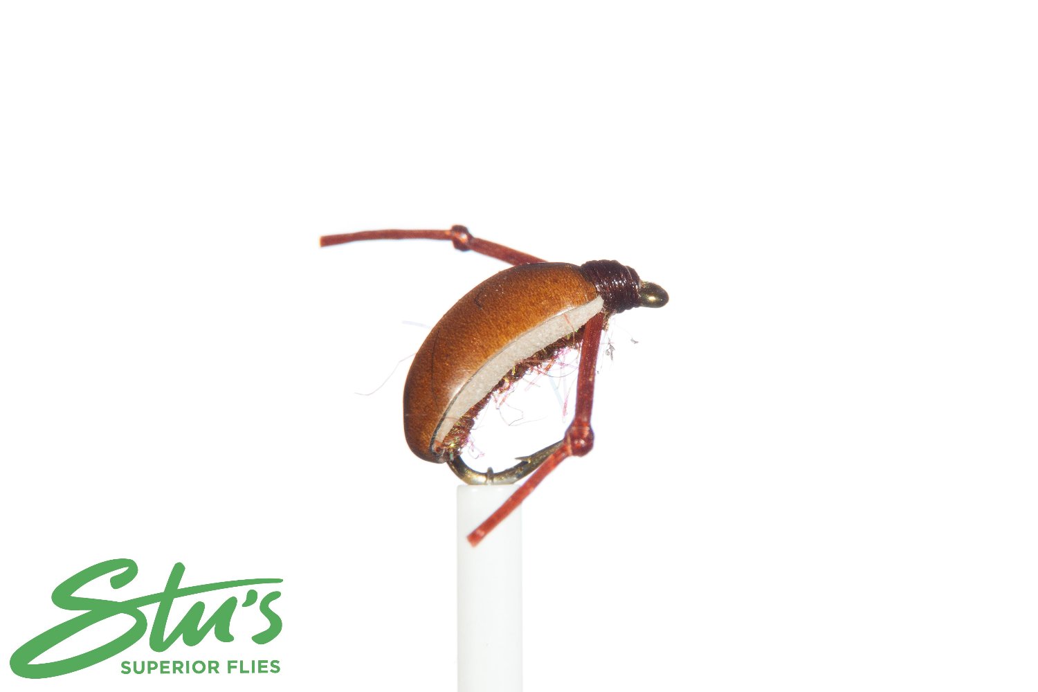 Water Boatman