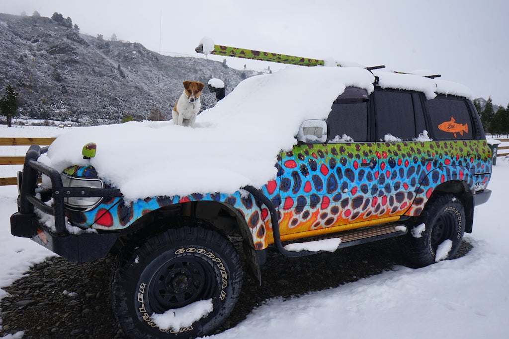 Famous NZ Trout-Sticker-Sand Camo