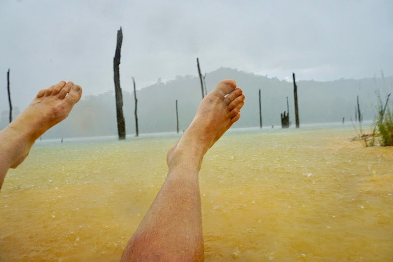 Famous NZ Trout-Sticker-Orange