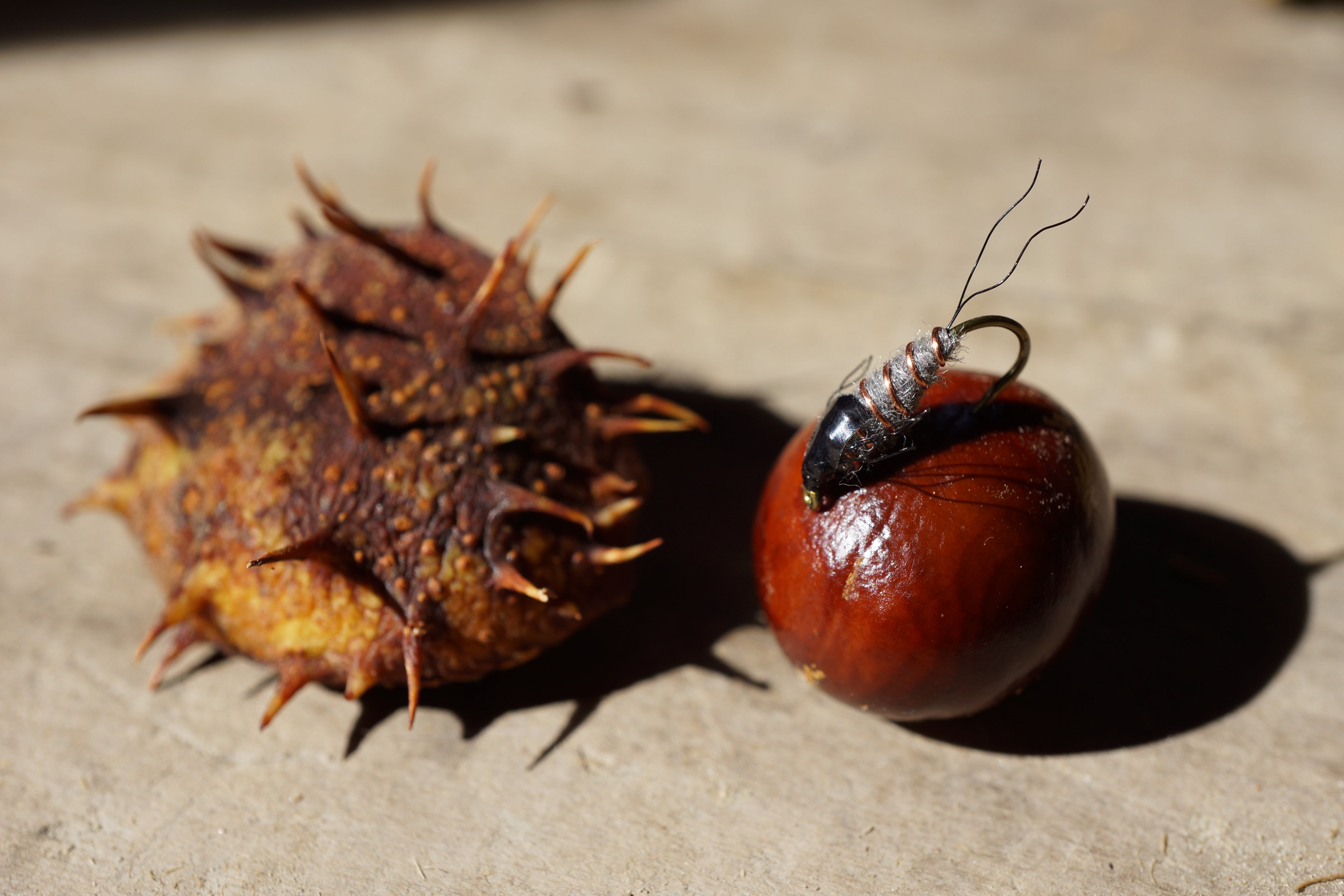 Custom Fly Pack's - Freshwater or Saltwater