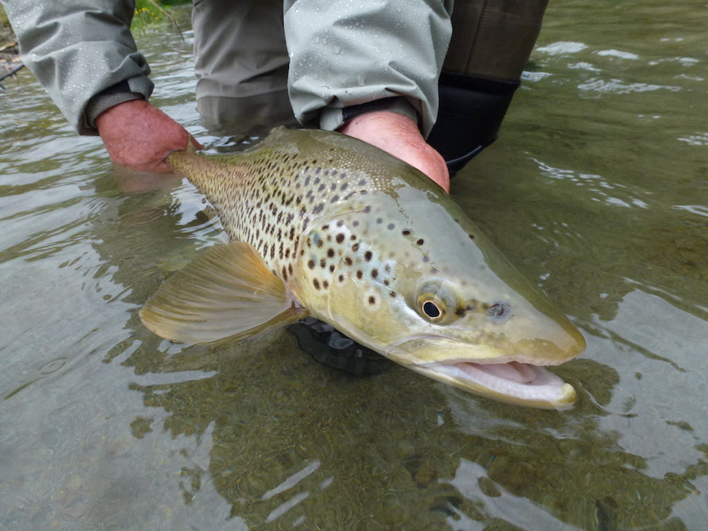 New Zealand Fly Fishing T-Shirt