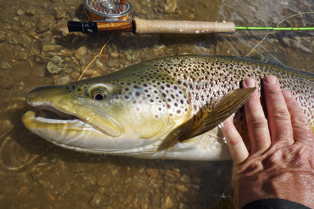 Loaded 14-Deadly Nymph-Mayfly-Slim Fly Box.