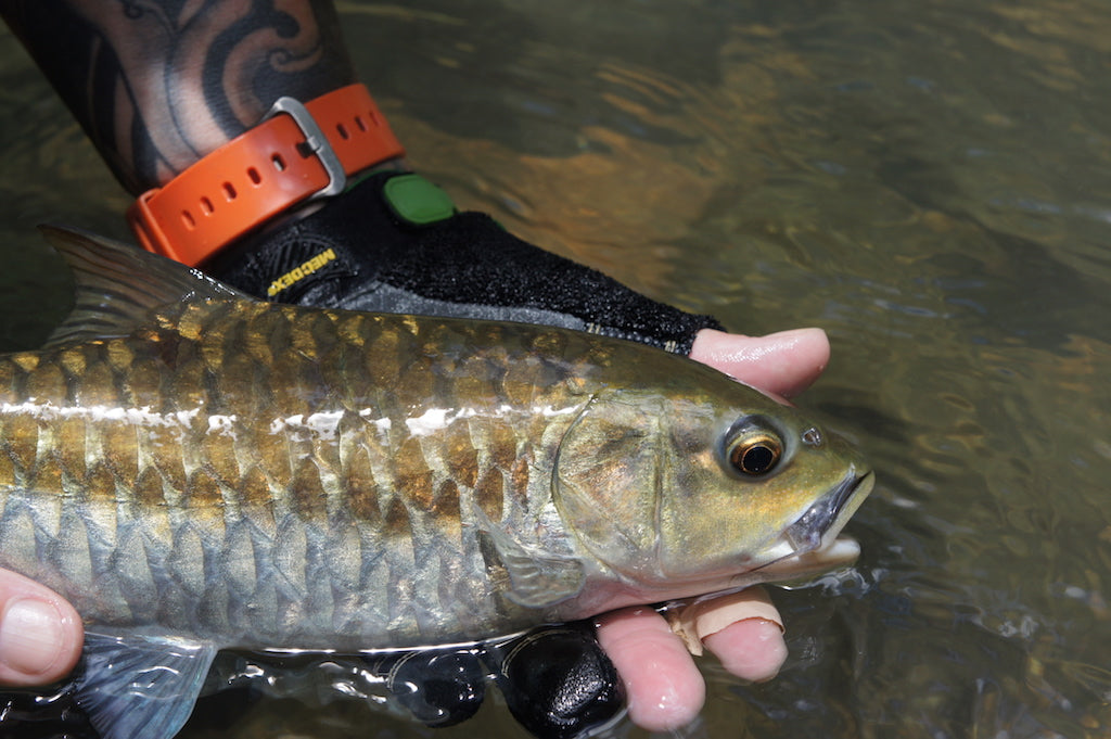 Da Bomb-Mayfly Nymph-Brown