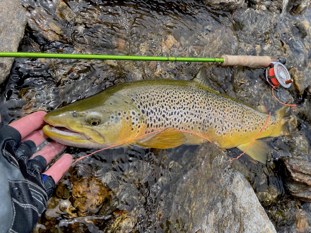Loaded 7-S/M Dry Fly Mix-Slim Fly Boxes.