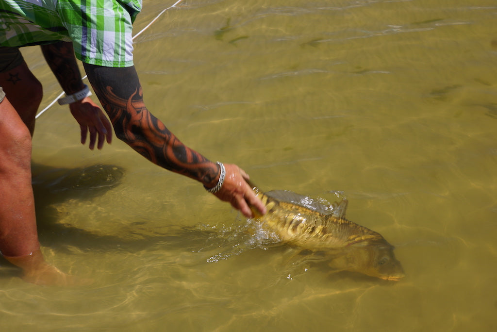 Skinny Damsel Dry Fly Mix Pack's