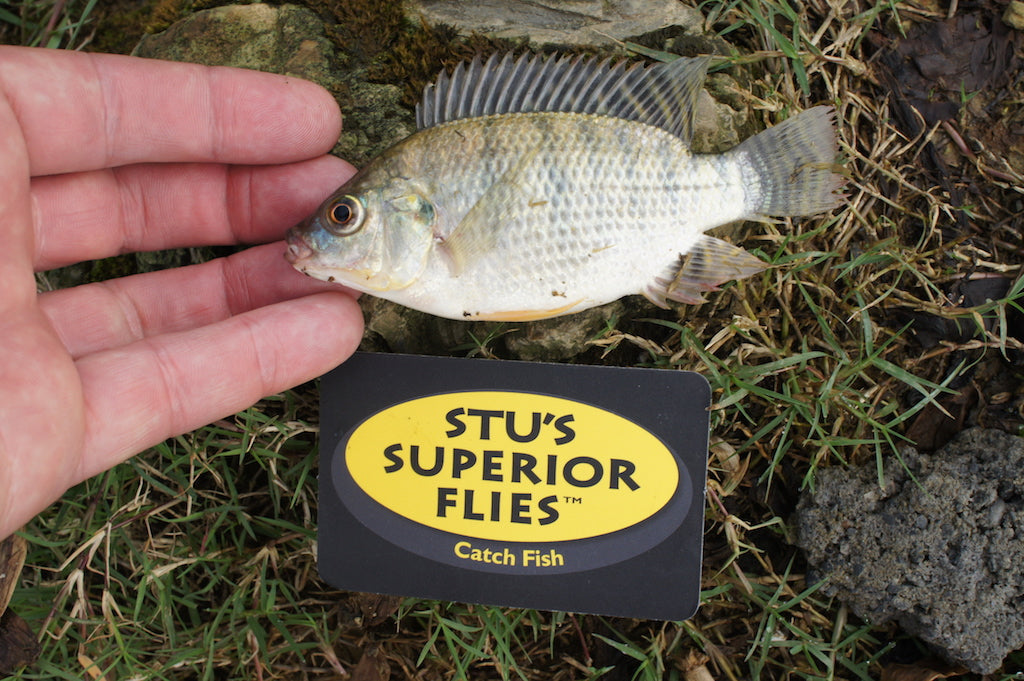 Loaded 10-Dry Fly & Nymph Mix-Double-Silicone Fly Box