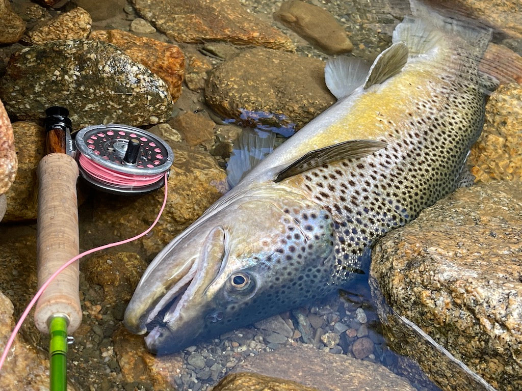 Loaded 7-S/M Dry Fly Mix-Slim Fly Boxes.